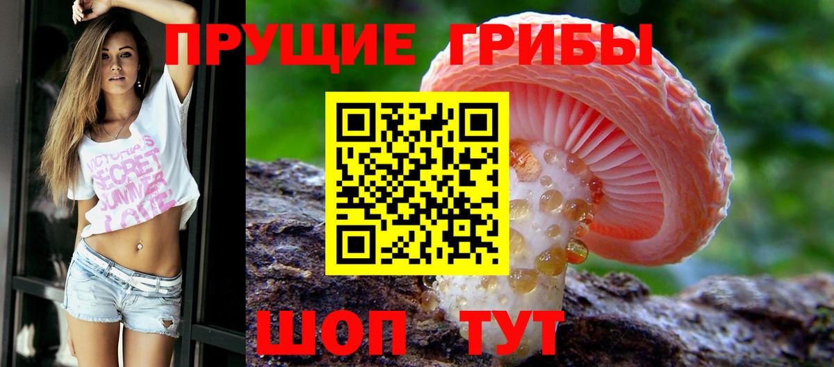 Галлюциногенные грибы мицелий Кудрово