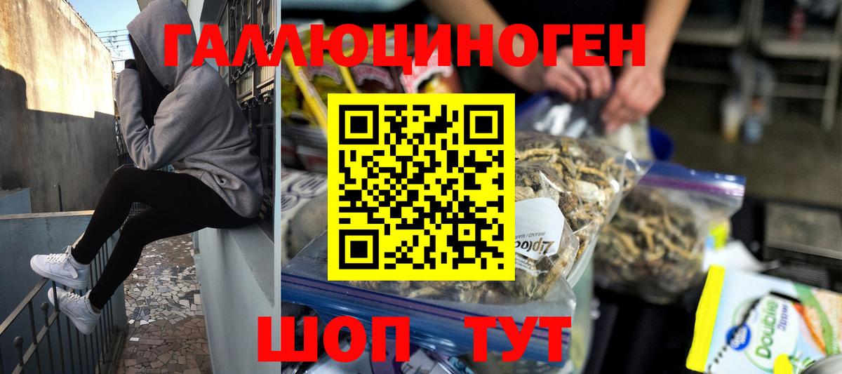 Кудрово  Псилоцибиновые грибы ЛСД  Вход с VPN 