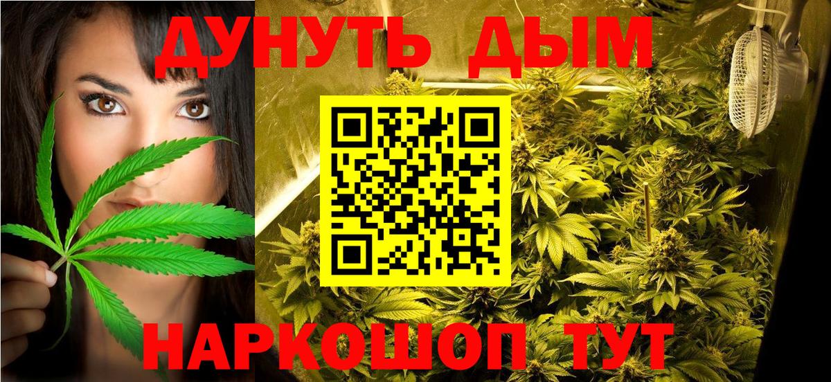 Каннабис Bruce Banner  Марихуана конопля  Кудрово  Шишки марихуана планчик  Бошки марихуана сатива  Вход с VPN 